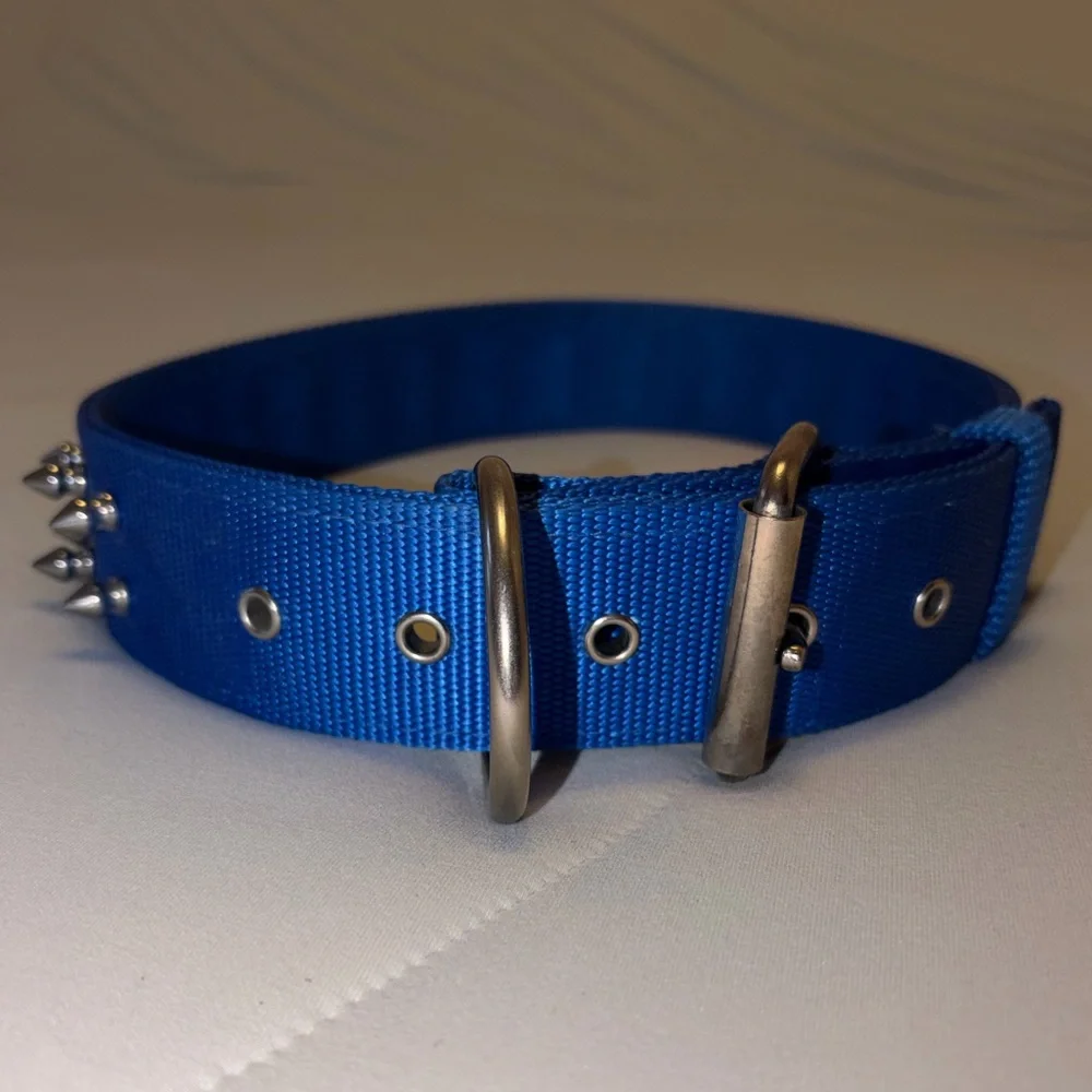 XL Blue Nylon Spiked Dog Collar